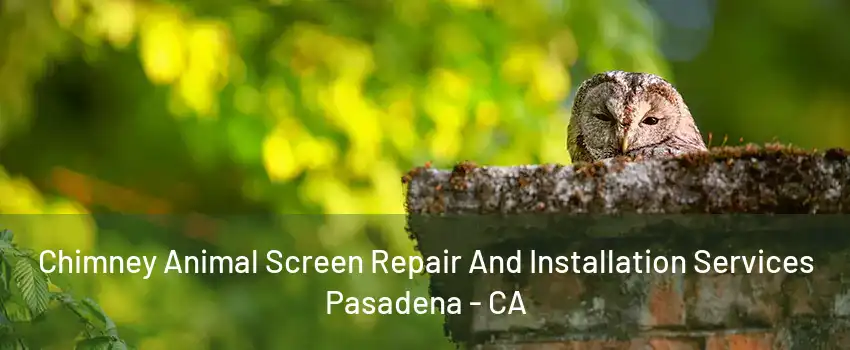 Chimney Animal Screen Repair And Installation Services Pasadena - CA