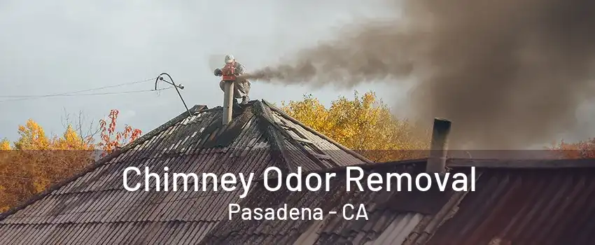 Chimney Odor Removal Pasadena - CA