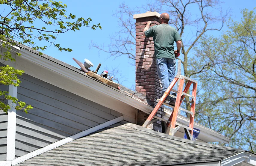 Chimney & Fireplace Inspections Services in Pasadena