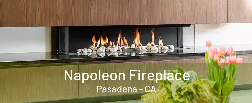 Napoleon Fireplace Pasadena - CA